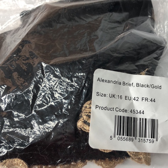 BLUEBELLA Black Silky Satin W/ Lace Trim & Mesh See Thru Back Brief Panties XL - Picture 15 of 16